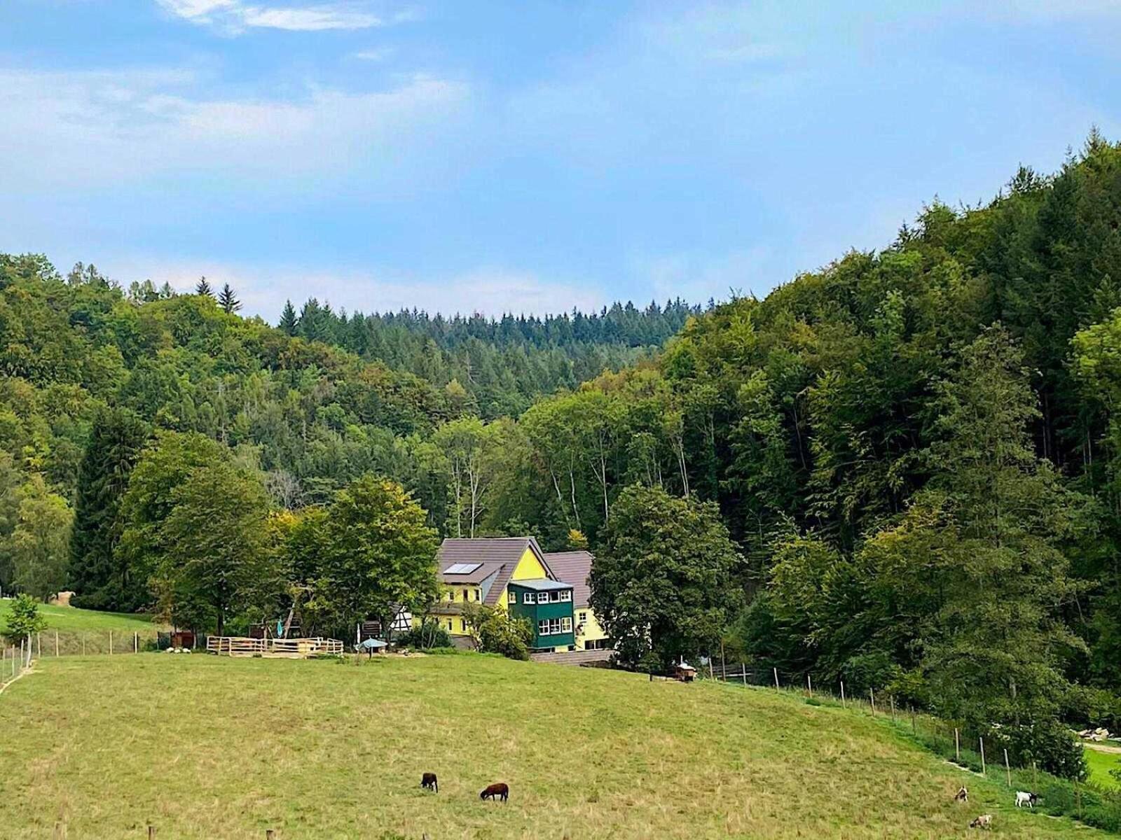 Siegelsbacher Muehle Exteriör bild